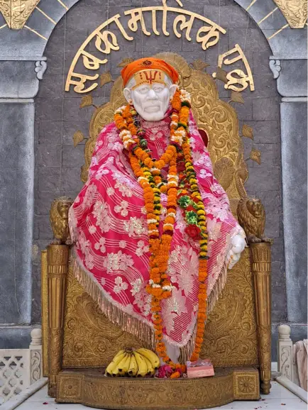 साईं आसरा संस्था द्वारा 11 व स्थापना दिवस मनाया गया